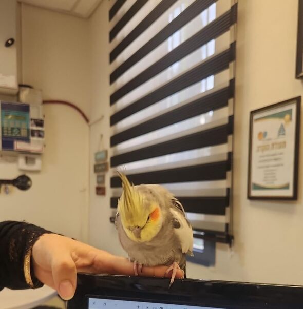 צילום מתוך דף הפייסבוק עיריית יבנה