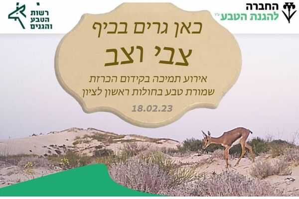 קרדיט צילום: ברוך תמם ויפה כדר לוי