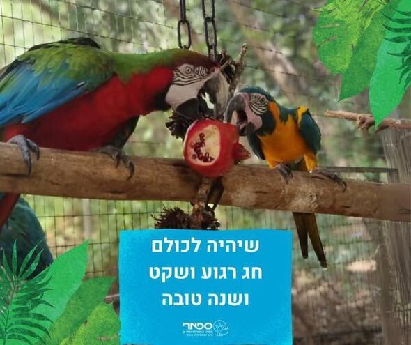 צילום מתוך דף הפייסבוק ספארי רמת גן  Ramat Gan Safari