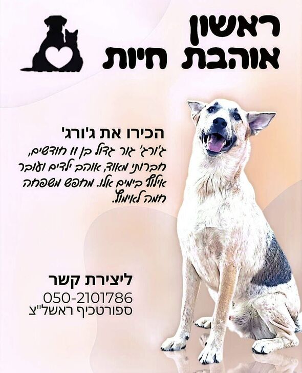 צילום מתוך דף הפייסבוק עמותת ראשון אוהבת חיות