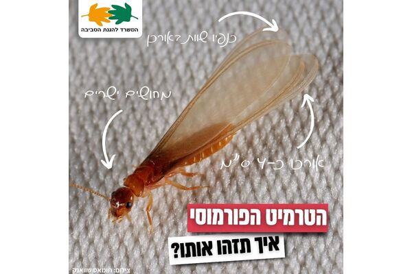 צילום מתוך דף הפייסבוק המשרד להגנת הסביבה