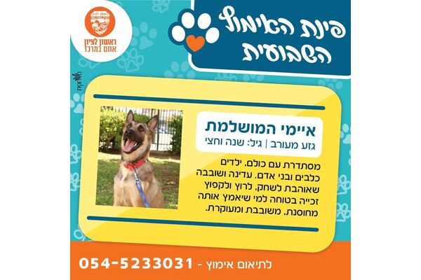 צילום מתוך דף הפייסבוק עיריית ראשון לציון