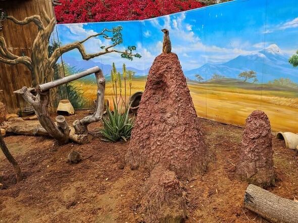 צילום מתוך דף הפייסבוק גן החי פתח תקווה