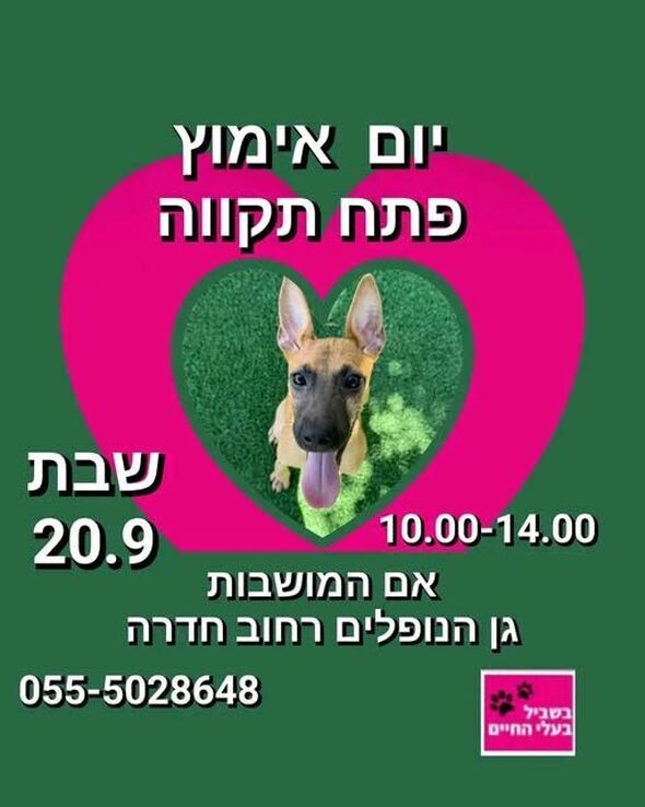 צילום מתוך דף הפייסבוק צדוק בן משה - סגן ראש העיר פ"ת