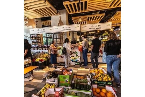 צילומים: שוק עתידים, אנג׳לינה גרדנה