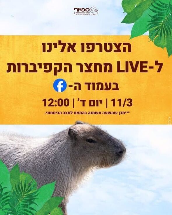 צילום מתוך דף הפייסבוק ספארי רמת גן  Ramat Gan Safari