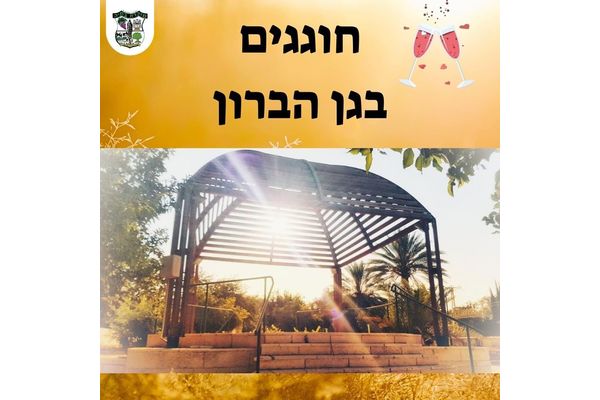 צילום: עדי טננבוים מתוך אתר המועצה המקומית