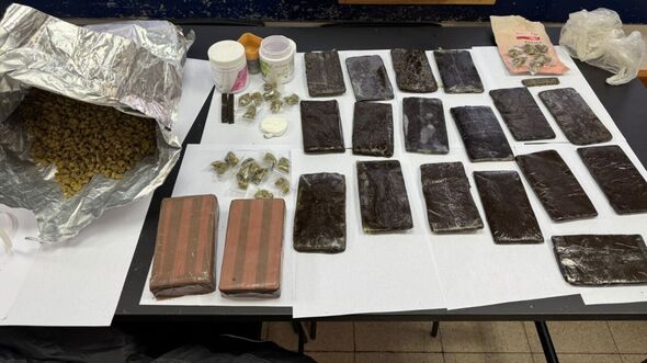 קרדיט צילום: דוברות המשטרה