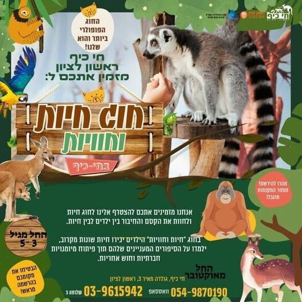 צילום מתוך דף הפייסבוק חי-כיף, גן החיות ראשון לציון
