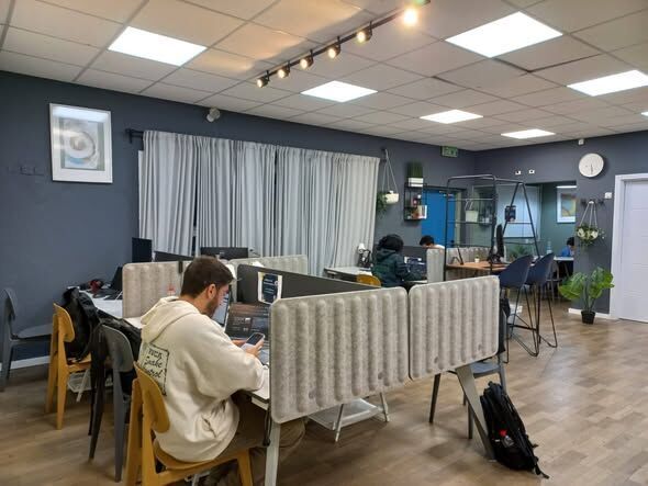 צילומים: עיריית נס ציונה