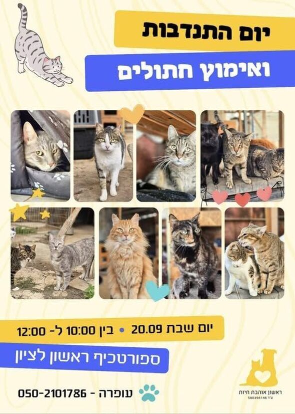 צילום מתוך דף הפייסבוק עמותת ראשון אוהבת חיות