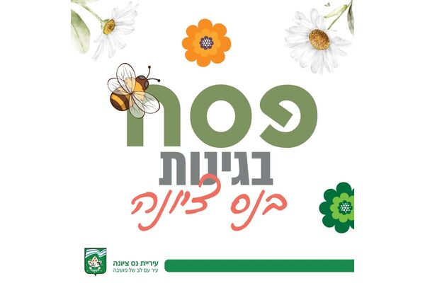 צילום מתוך דף הפייסבוק עיריית נס ציונה