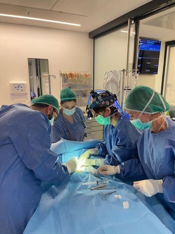 צילום:מרכז שניידר לרפואת ילדים בישראל