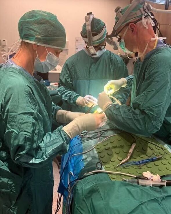 צילום מתוך דף הפייסבוק מרכז שניידר לרפואת ילדים בישראל