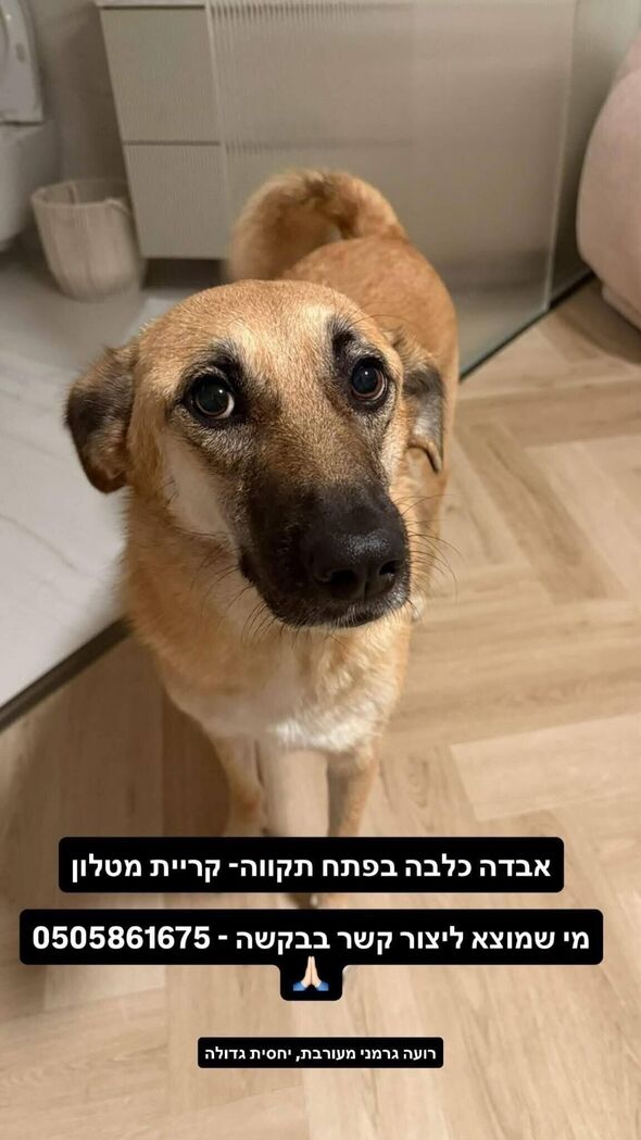 צילום מתוך דף הפייסבוק צדוק בן משה - סגן ראש העיר פ"ת