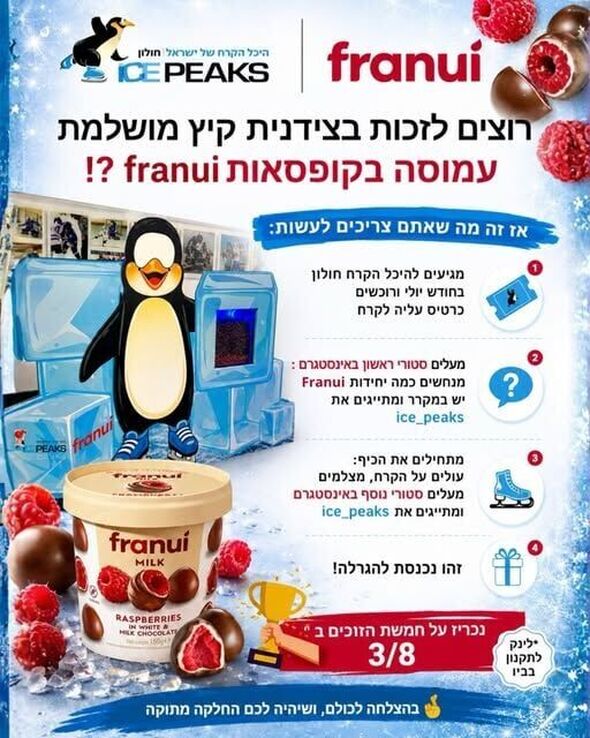 צילום מתוך דף הפייסבוק Ice Peaks - היכל הקרח חולון