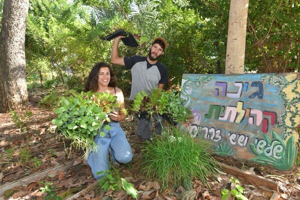 צילום: כפיר סיון