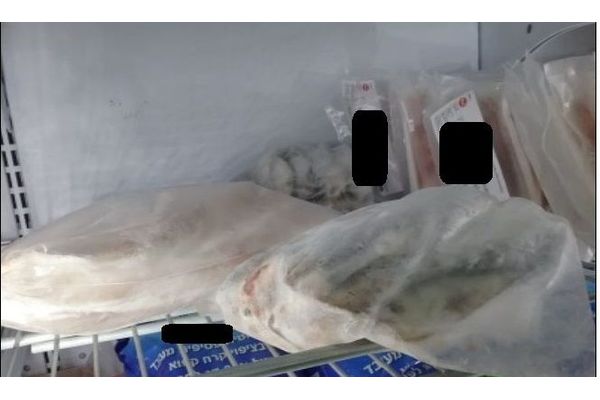 הדגים בתמונה צילום ארכיון ולא קשורה לחנות שבכתבה