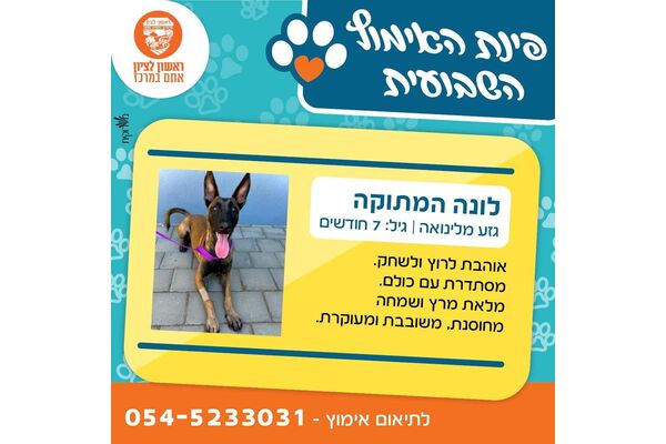 צילום מתוך דף הפייסבוק עיריית ראשון לציון