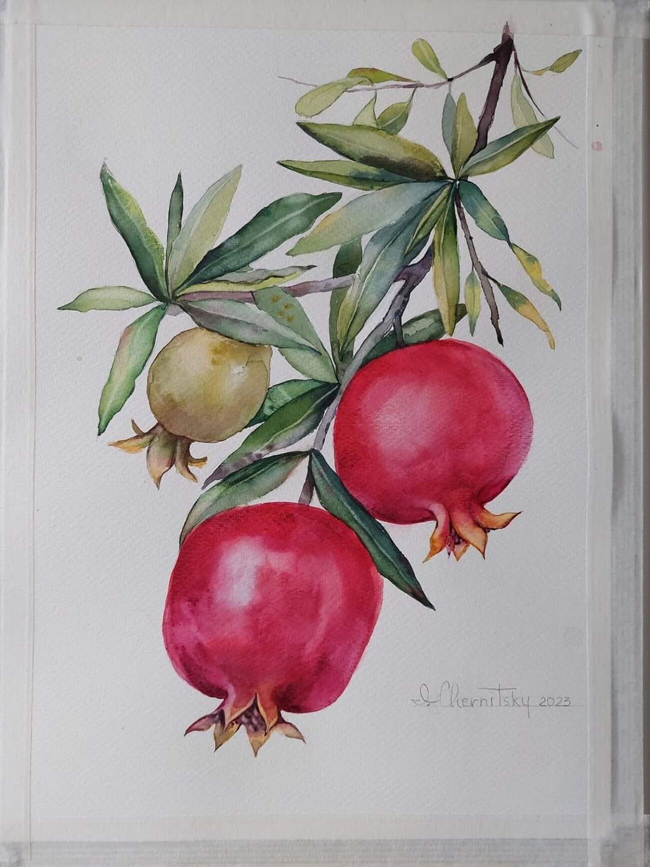 תא צילום יחצ