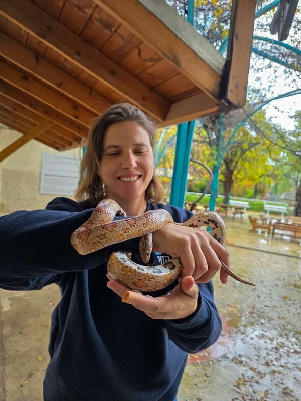 צילום מתוך דף הפייסבוק גן החי פתח תקווה