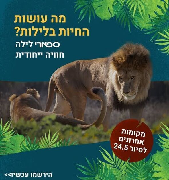 צילום מתוך דף הפייסבוק ספארי רמת גן Ramat Gan Safari