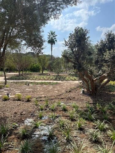 צילום: אורי לווינגר עבור סטודיו אורבנוף 