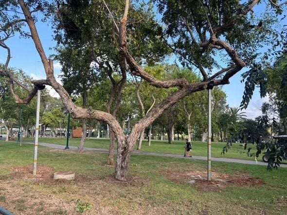צילום מתוך דף הפייסבוק גני יהושע