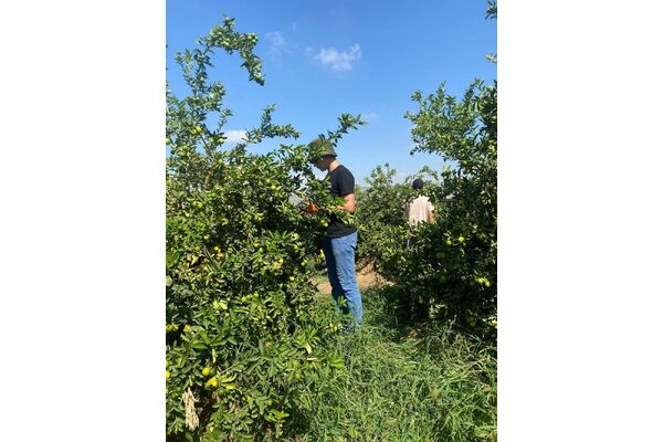 צילום מתוך דף הפייסבוק על-יסודי קשת מזכרת בתיה
