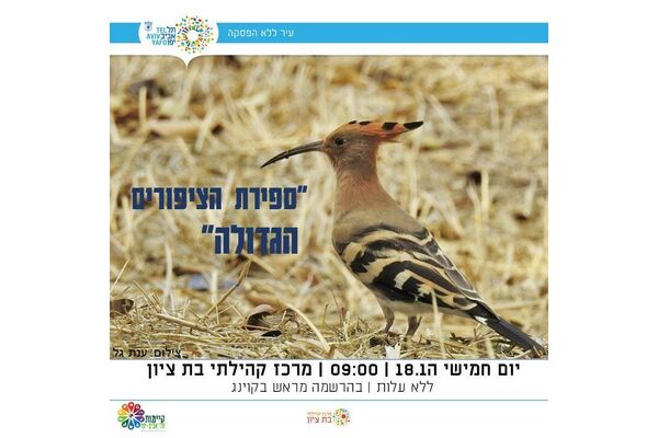 צילום מתוך דף הפייסבוק מרכז קהילתי בת ציון
