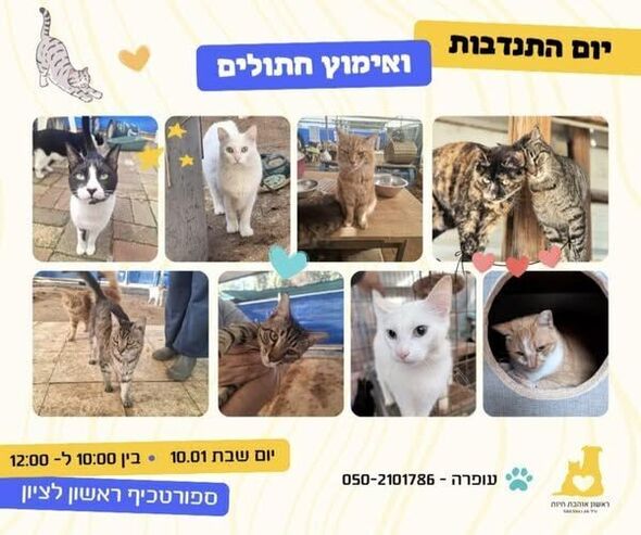 צילום מתוך דף הפייסבוק עמותת ראשון אוהבת חיות