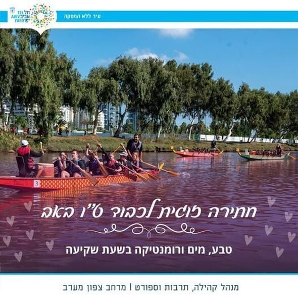 צילום:נדב אבס