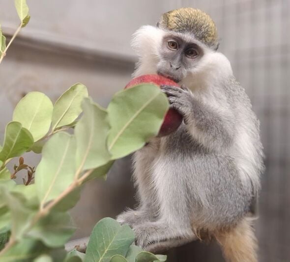 צילום: רשות הטבע והגנים