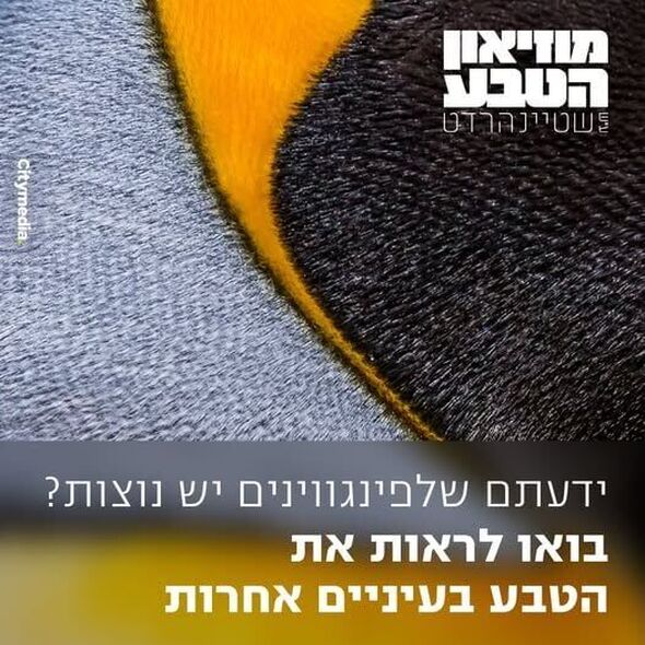 הפייסבוק מוזיאון הטבע ע״ש שטיינהרדט, אונ' תל אביב