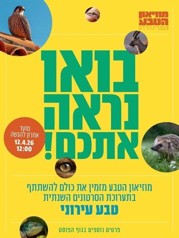 צילום מתוך דף הפייסבוק מוזיאון הטבע ע״ש שטיינהרדט, אונ' תל אביב