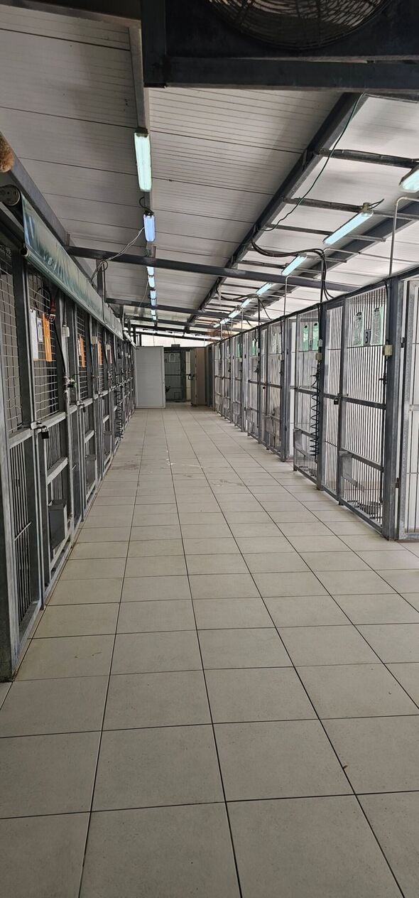 צילום מתוך דף הפייסבוק צדוק בן משה - סגן ראש העיר פ"ת