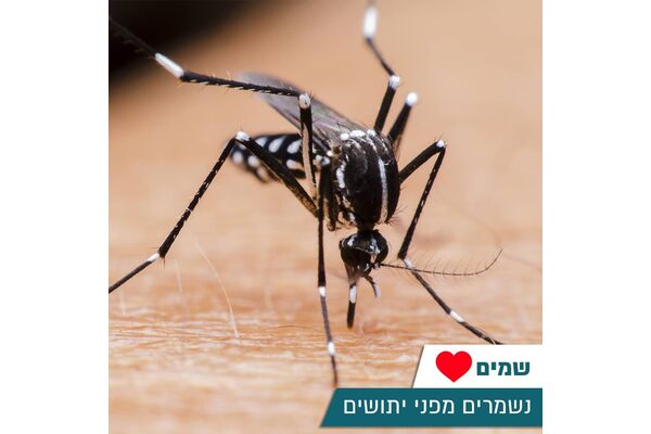 עיריית ראשון לציון
