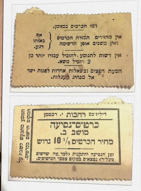 צילום: איציק קראוזה