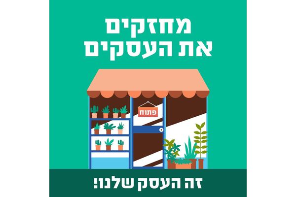 צילום: אבי כהן