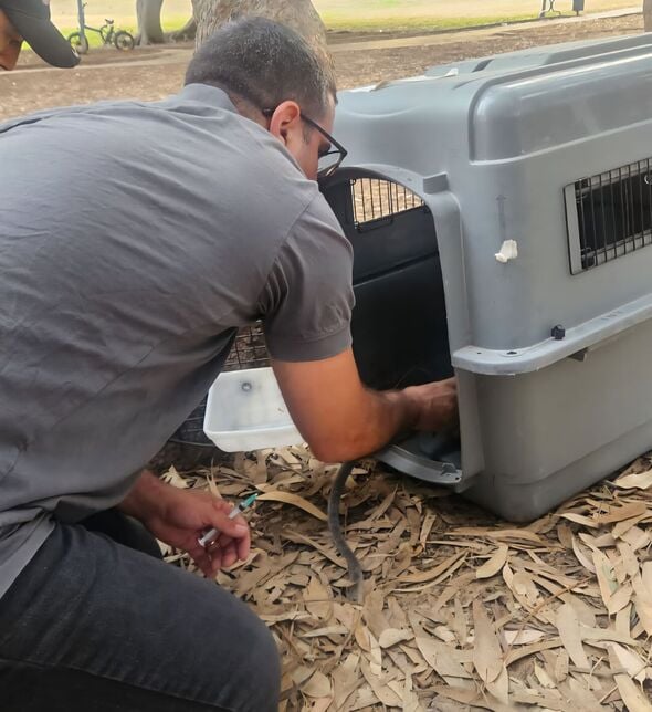 קרדיט צילום ד"ר משה דהן, עיריית אשדוד