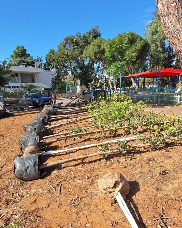 צילום מתוך דף הפייסבוק צדוק בן משה - סגן ראש העיר פ"ת