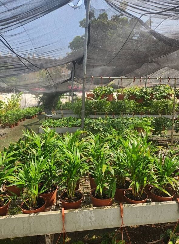 צילום מתוך דף הפייסבוק החווה החקלאית פתח תקוה