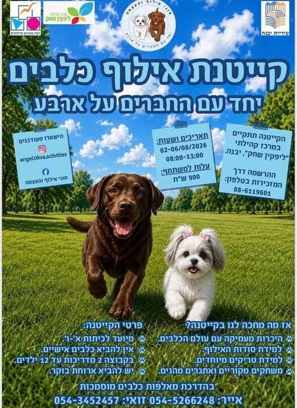 צילום מתוך דף הפייסבוק מרכז קהילתי ליפקין-שחק