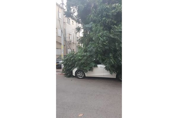 דיווח וצילום ליאור עזרא