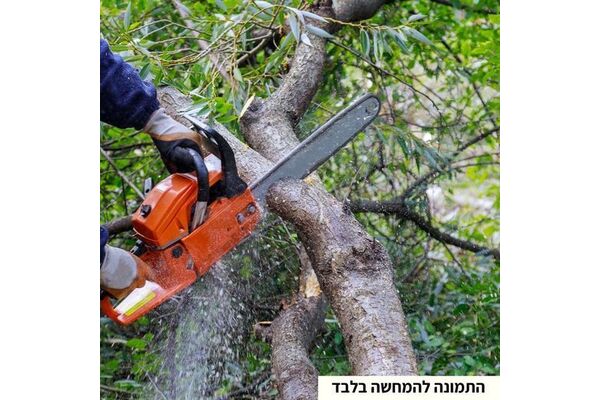 צילום מתוך דף הפייסבוק מועצה מקומית מזכרת בתיה