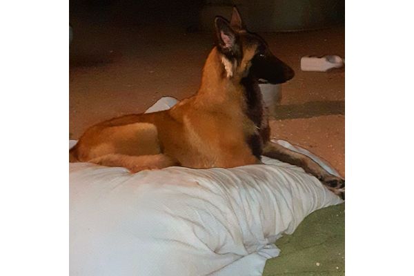 קרדיט: דודי יולזרי פייסבוק