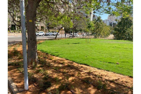 קרדיט: עיריית חולון