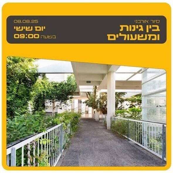 צילום מתוך דף הפייסבוק בית ליבלינג - מרכז העיר הלבנה