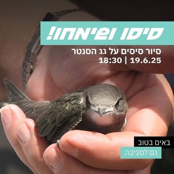 צילום מתוך דף הפייסבוק דיזנגוף סנטר תל אביב