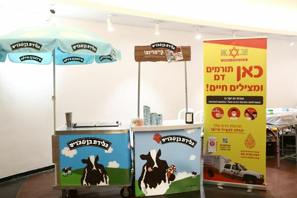 צילום אסף לב